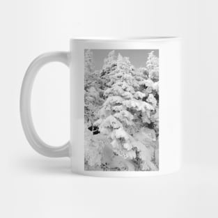 At The Top / B&W Mug